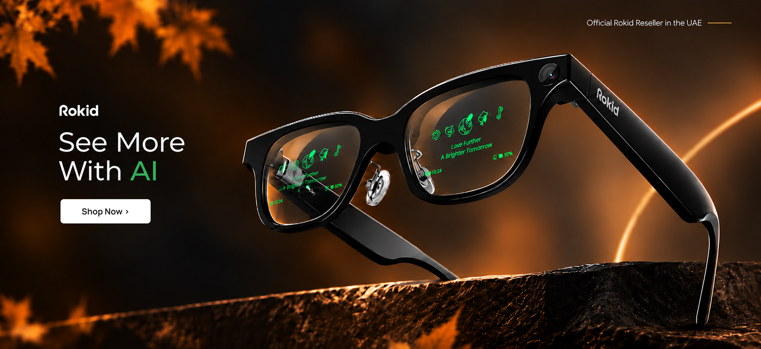 Rokid AI AR Smart Glasses